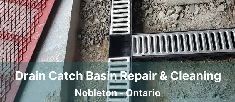  Drain Catch Basin Repair & Cleaning Nobleton - Ontario