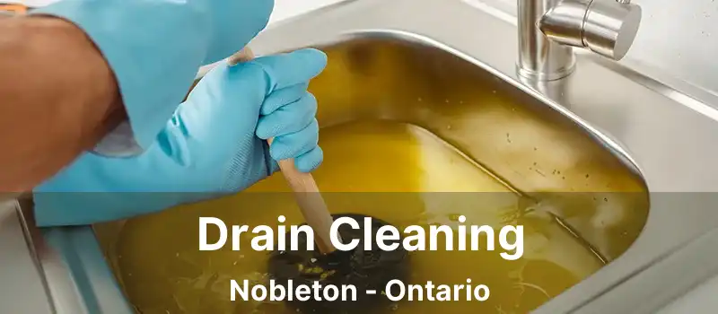 Drain Cleaning Nobleton - Ontario