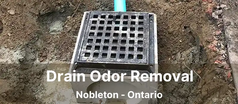  Drain Odor Removal Nobleton - Ontario