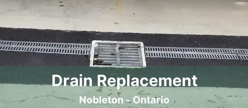  Drain Replacement Nobleton - Ontario