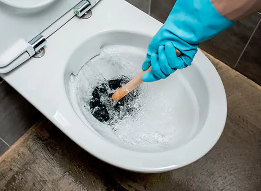 Drain Power Flush Services in Nobleton, ON