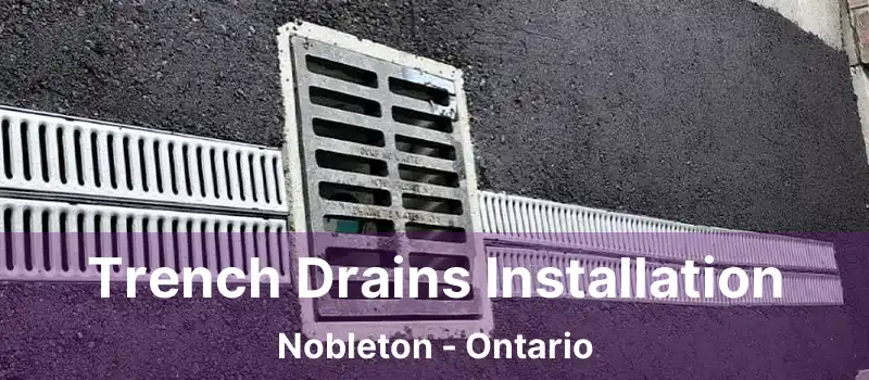  Trench Drains Installation Nobleton - Ontario