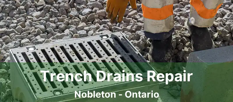  Trench Drains Repair Nobleton - Ontario