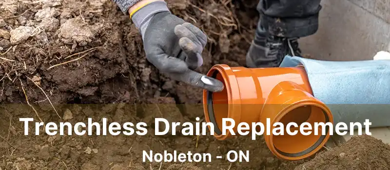  Trenchless Drain Replacement Nobleton - ON